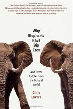 Why Elephants Have Big Ears